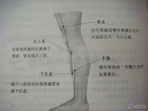 真正的丰隆穴