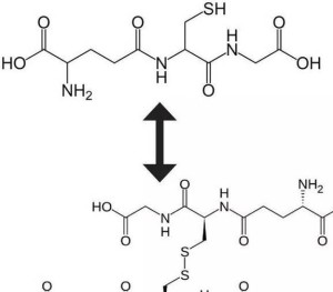 谷胱甘肽结构式图片