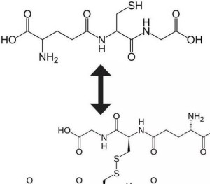 还原型谷胱甘肽,阿拓莫兰,古拉定cas号:70