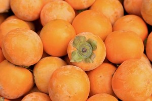 新圩柿子