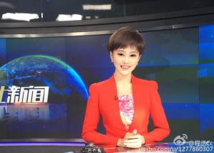 湖北卫视程丞