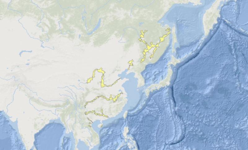 银鲴分布图