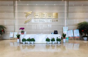 杭州安恒信息技术有限公司