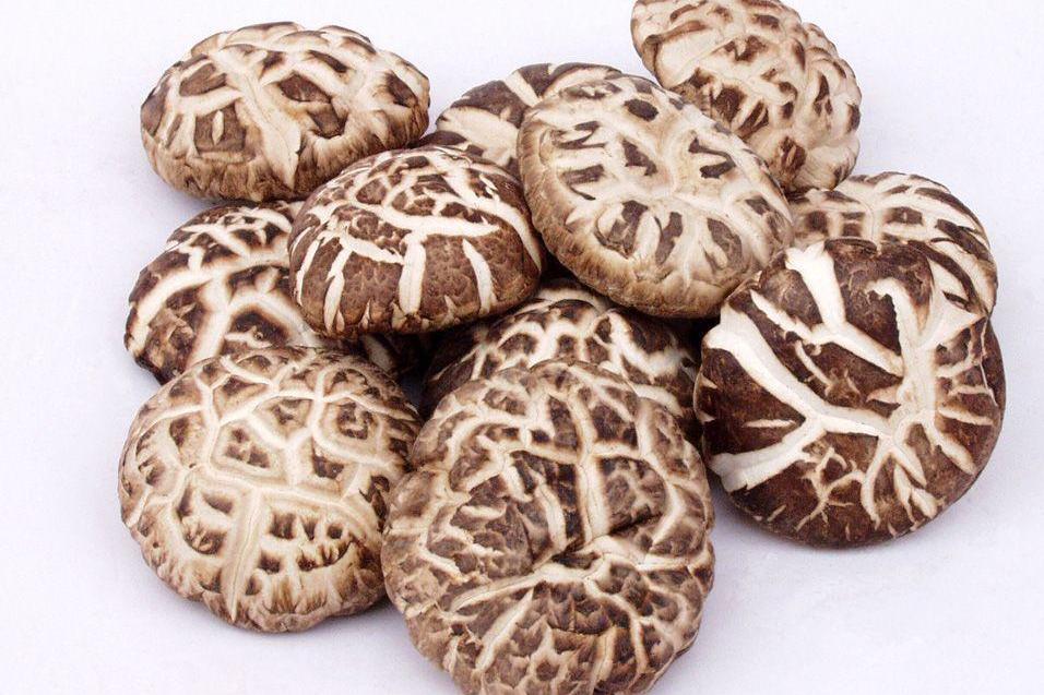 花菇 白蘑科真菌界生物 搜狗百科