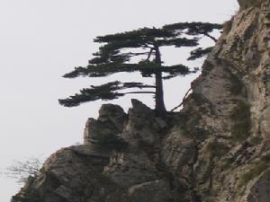 万佛山