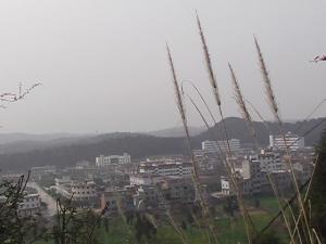 沉抗镇