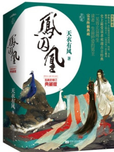 天衣有风作品