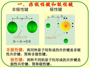 极性分子