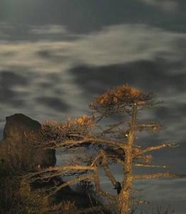 石谷解 搜狗百科