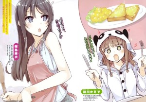 青春猪头少年系列