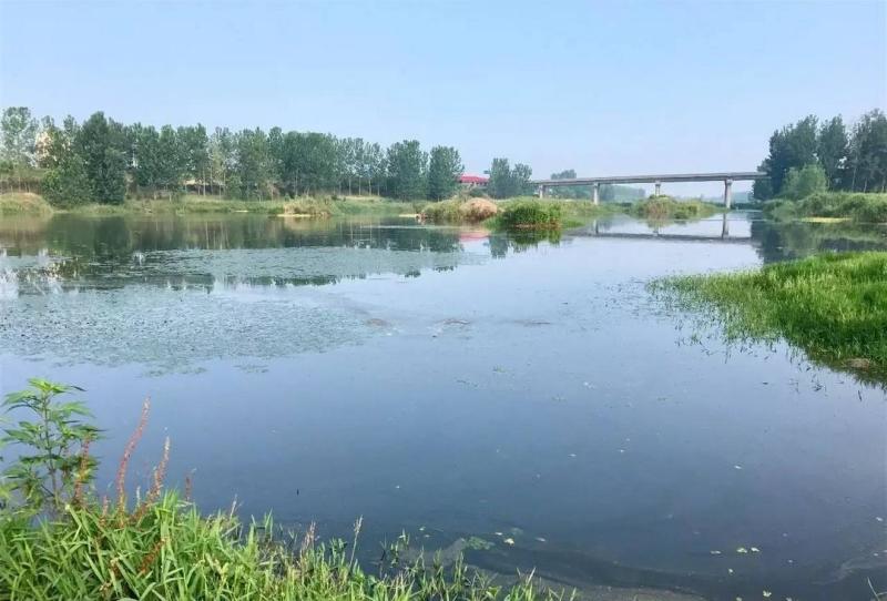 蒙河东流,自沂南县双堠镇东师古村西北入境东南流,经双堠,南石门,青驼