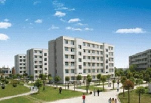 沙市大学