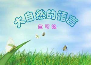 大自然的语言