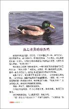 书页