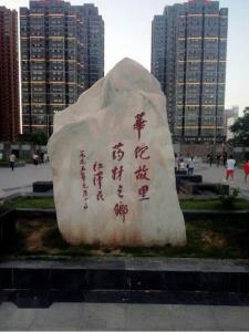1995年，时任国家主席江泽民欣然题词“华佗故里，药材之乡”