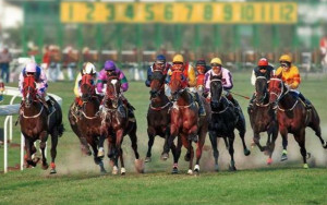 澳门赛马会 澳门赛马会