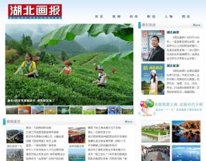 湖北画报网截图