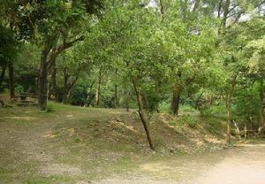 城门郊野公园