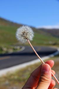 一个人的旅行，就是整个世界。