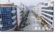 磐石镇街区