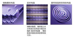 LIPOSOME