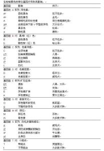 烟灰色哈士奇