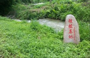 九叶蓝绞股蓝种植基地