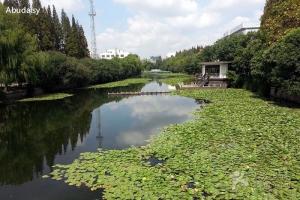 丽娃河