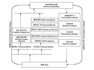 协同进化
