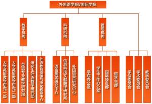 组织机构