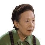 再见独奏图册