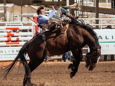 編輯1節日曆史加拿大舉辦國家calgary stampede外文名每年七月的第一