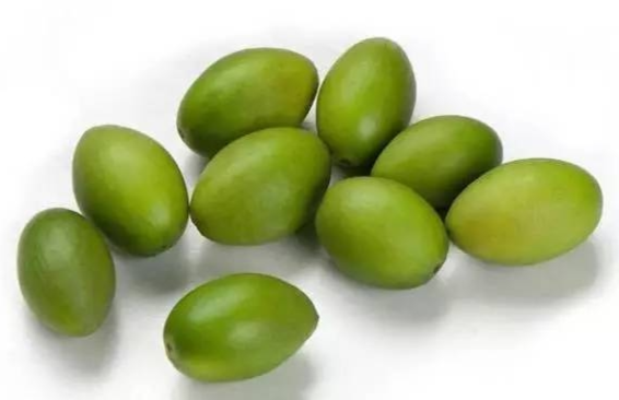 油橄榄
