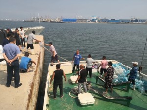 龙口市海洋渔业产业