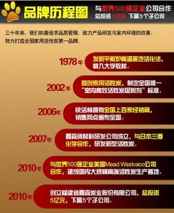 品牌历程图