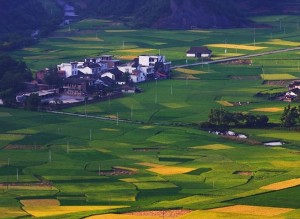 新宁县