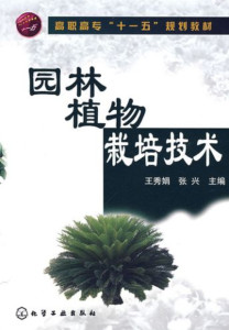 主干课程