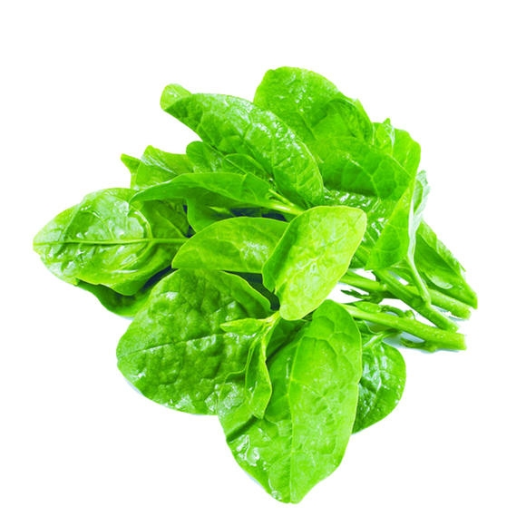 木耳菜