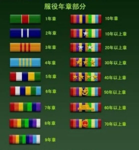 级别资历章