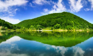 侍郎湖森林公园