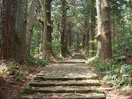 熊野参拜道中边路