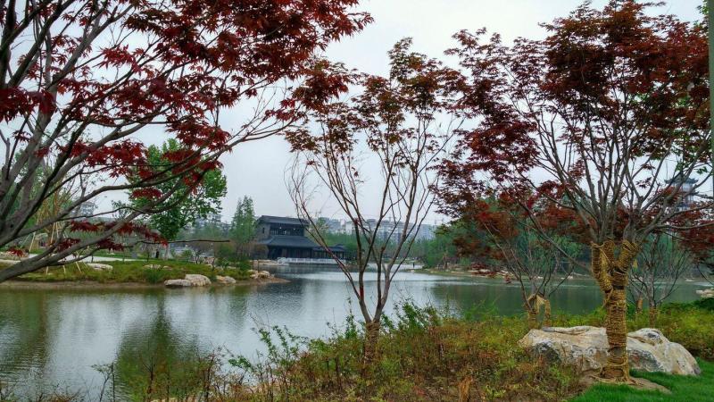 桃花岛公园