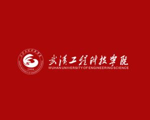 武汉工程科技学院(图1) 武汉工程科技学院(图1)