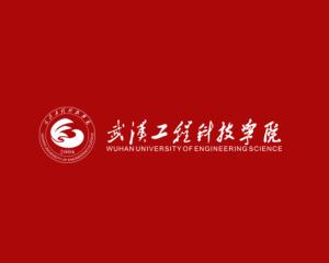 武汉工程科技学院(图1)