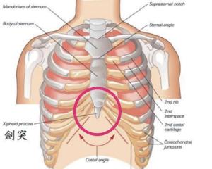 强力震荡心脏,使剑突软骨直接压迫心脏,同时也能够直接刺激胃上中枢