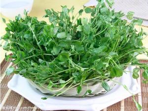 上汤豆苗配料