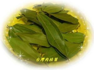 肉桂叶