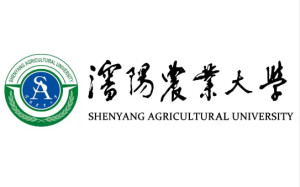 沈阳农业大学图标图片