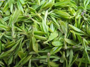 新鲜苔茶