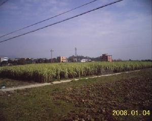 竹岐乡